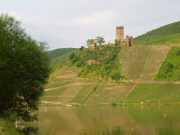 Burgruine Metternich